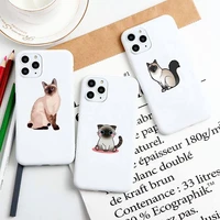 siamese cat phone case phone case for iphone 13 12 11 pro max xr xs x soft candy cover for iphone 6 6s 7 8 plus cases