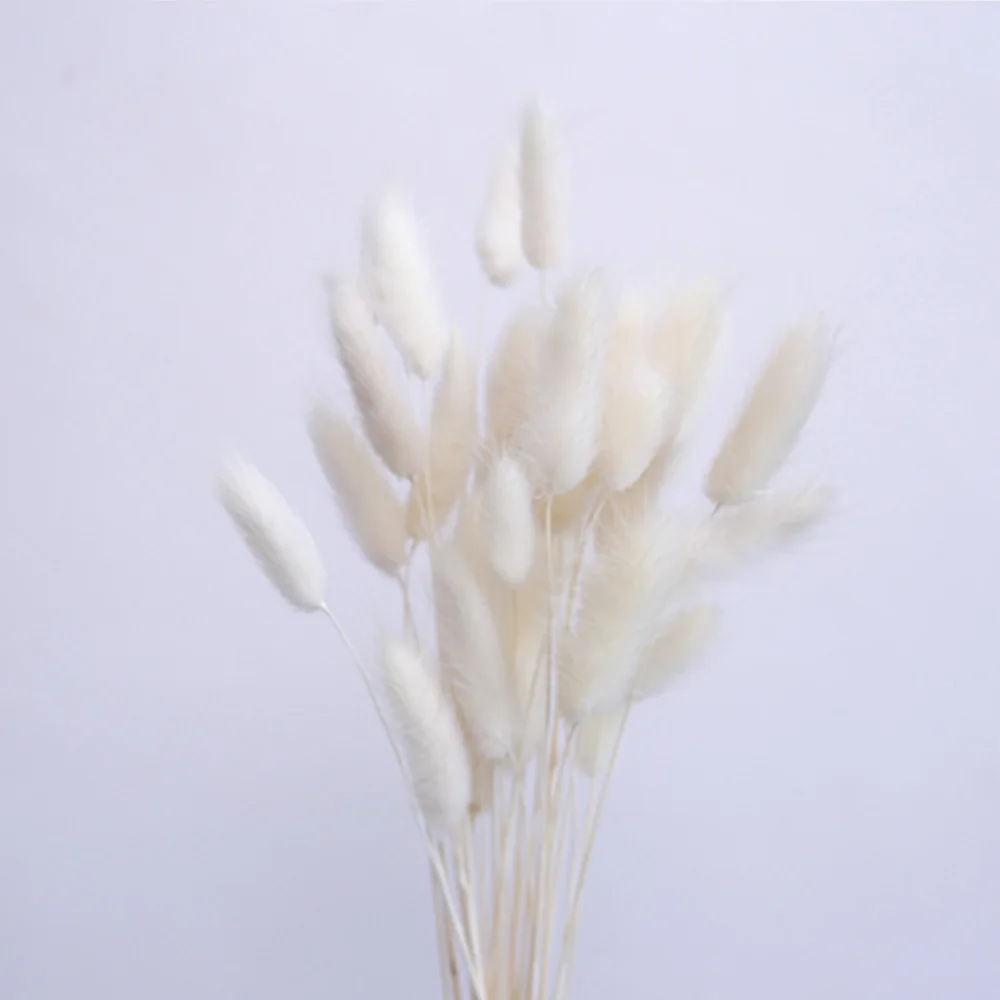 100 шт. Свадебный декор Натуральные сушеные цветы букет кроличий хвост трава для