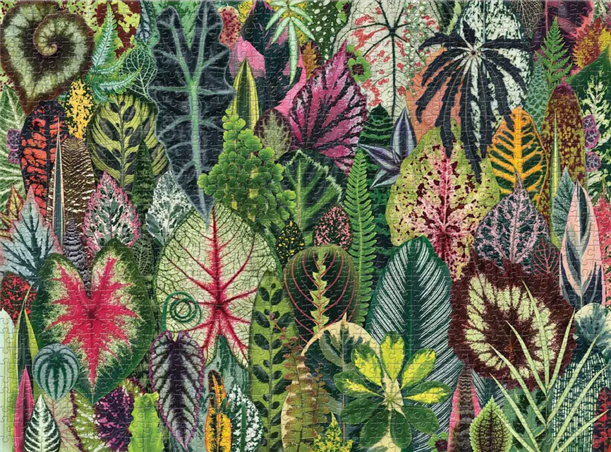 Аксессуары для волос повязка на голову 3 шт. Детская с цветочным принтом девочек