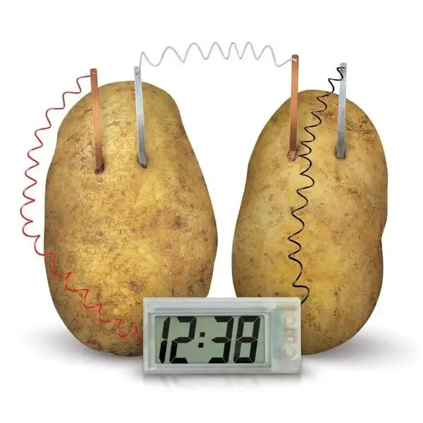 

Potato Clock Novel Green Science Project Experiment Kit Lab Home School Toy funny educational DIY material for children kids