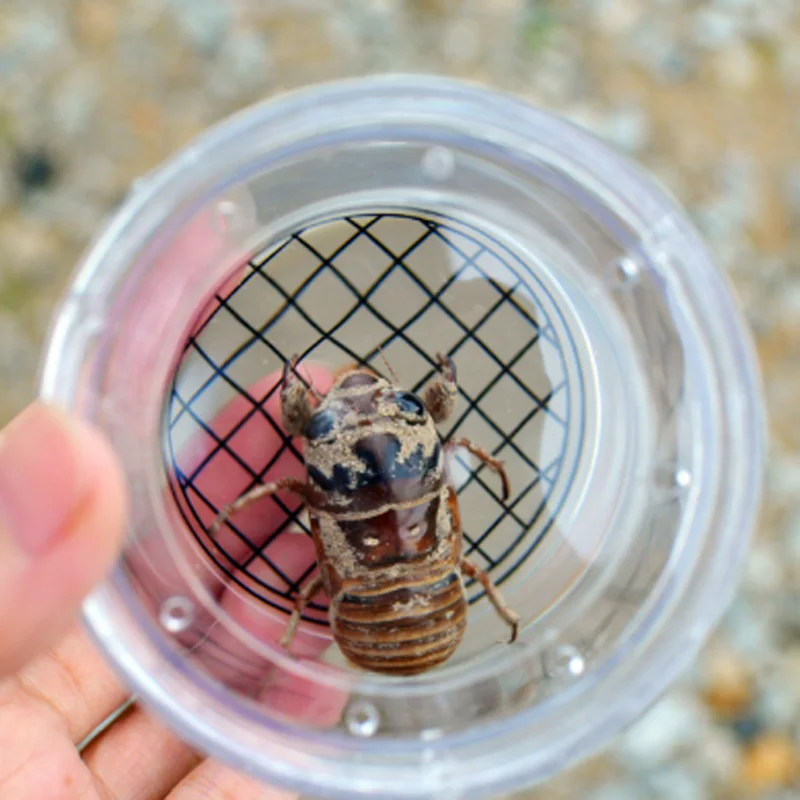 Ящик для наблюдения насекомых увеличение чашка игрушки детский сад элементарный