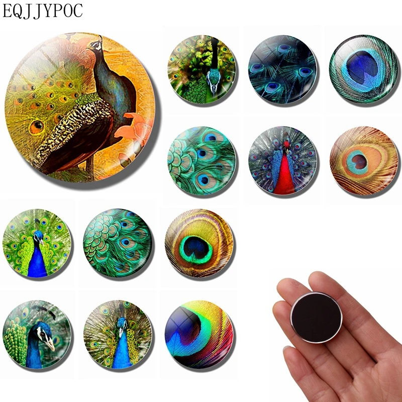 

Peacock Fridge Magnet Colorful Feather Glass Cabochon Refrigerator Magnets Fridge Sticker Cute Animal Message Board Home Decor