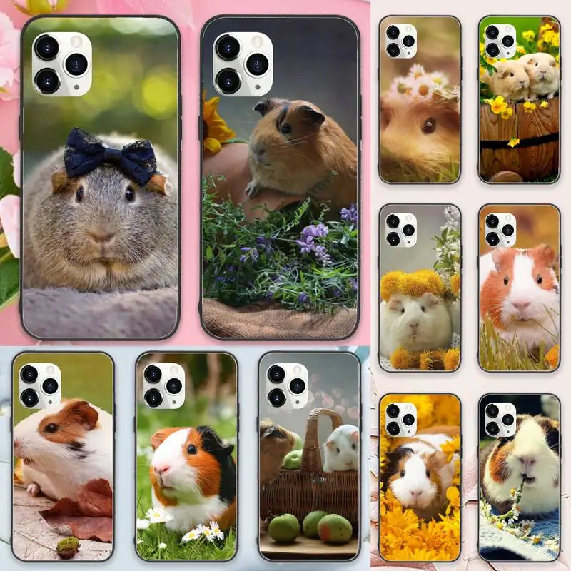 

Guinea Pig cute animal Phone Case For iphone 12 11 13 7 8 6 s plus x xs xr pro max mini