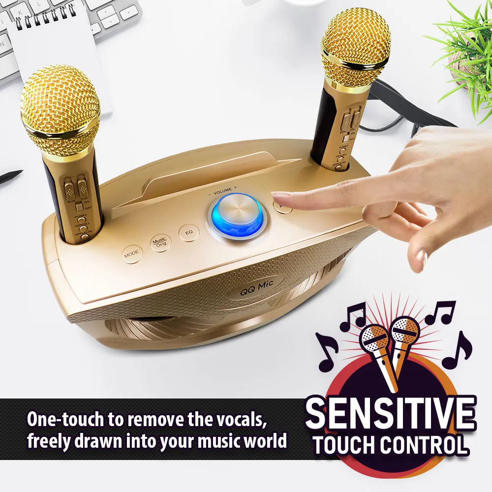 

20W Karaoke Machine Portable PA Speaker System For Kids Adults With Lights Microphone Bluetooth V5.0 Toy Instrument