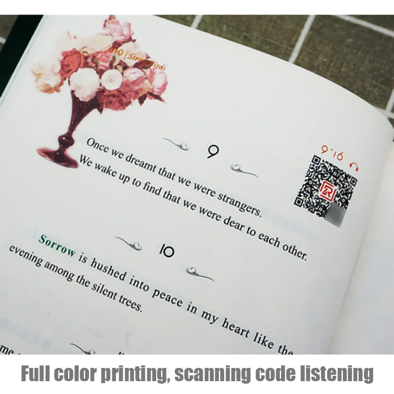 2 шт. книга на китайском и английском языках|Современная литература| |