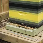 Инструменты для пчеловодства, переводная игла из нержавеющей стали, червь, перемещение пчеловодства