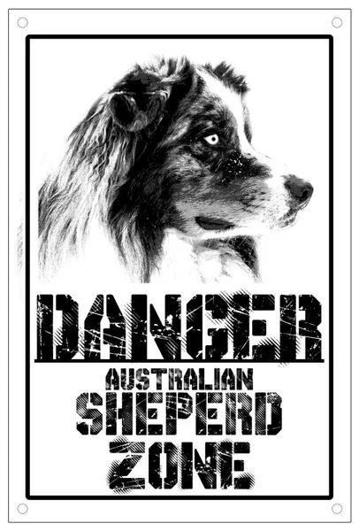 Danger Australian Shepherd Zones Plate Sign 8x12inch Metal Watch the Dog Metal Sign 8x12inch Home Kitchen Outdoor Wall Decor