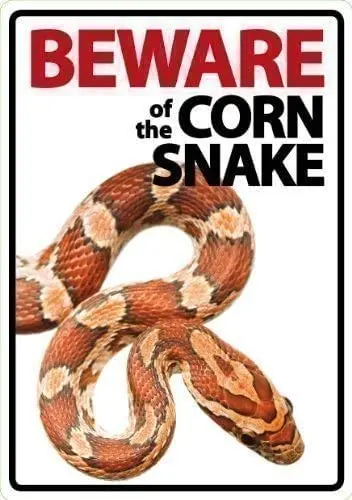 

Beware of The Corn Snake Metal Signs Vintage Tin Sign Plate Warning Sign Wall Art Decor Metal Wall Plaque-Tin Sign 12x16 inch