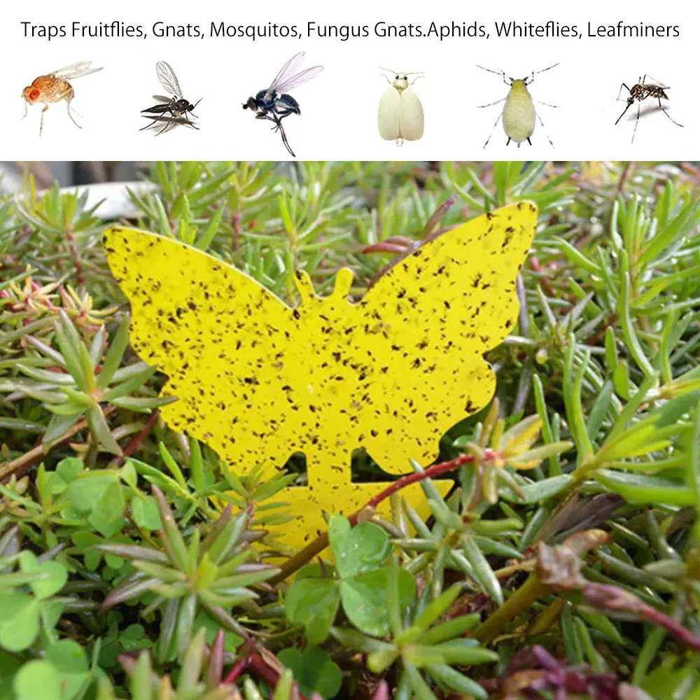 20-97Pcs/set Yellow Butterfly Shape Double-sided Sticky Board Plant Flowers Vegetables Mosquito Flies Trap Insect Sticker | Дом и сад