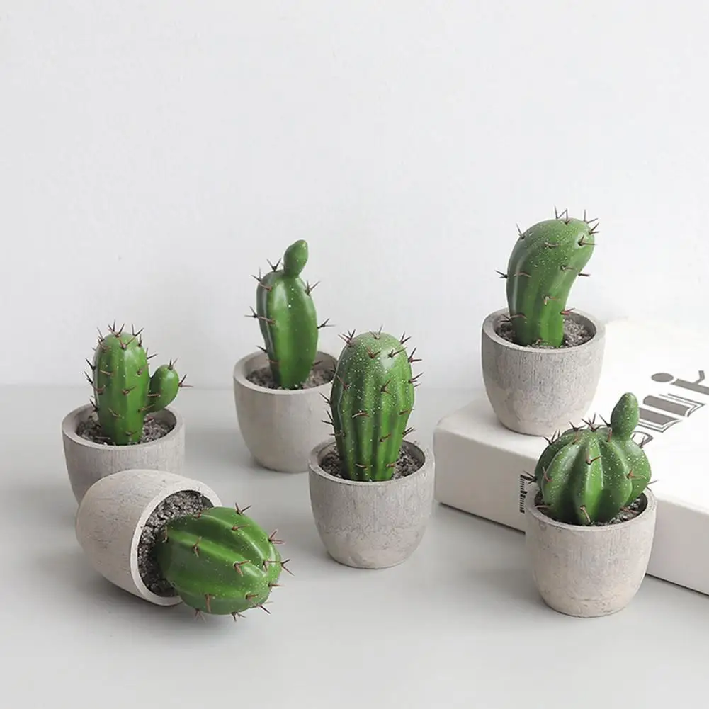 

80% Hot Sales!! Cactus Ornament Artificial Simulation Cement Desktop Cactus Figure Display Mold for Home