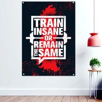 train insane or remain the same gym workout motivation poster wall art paintings exercise wallpaper banner flag wall decor
