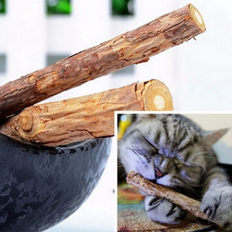 

5pcs Pure Natural Catnip Pet Cat Toy Molar Toothpaste Branch Cleaning Teeth Silvervine Cat Snacks Sticks Pet Supplies
