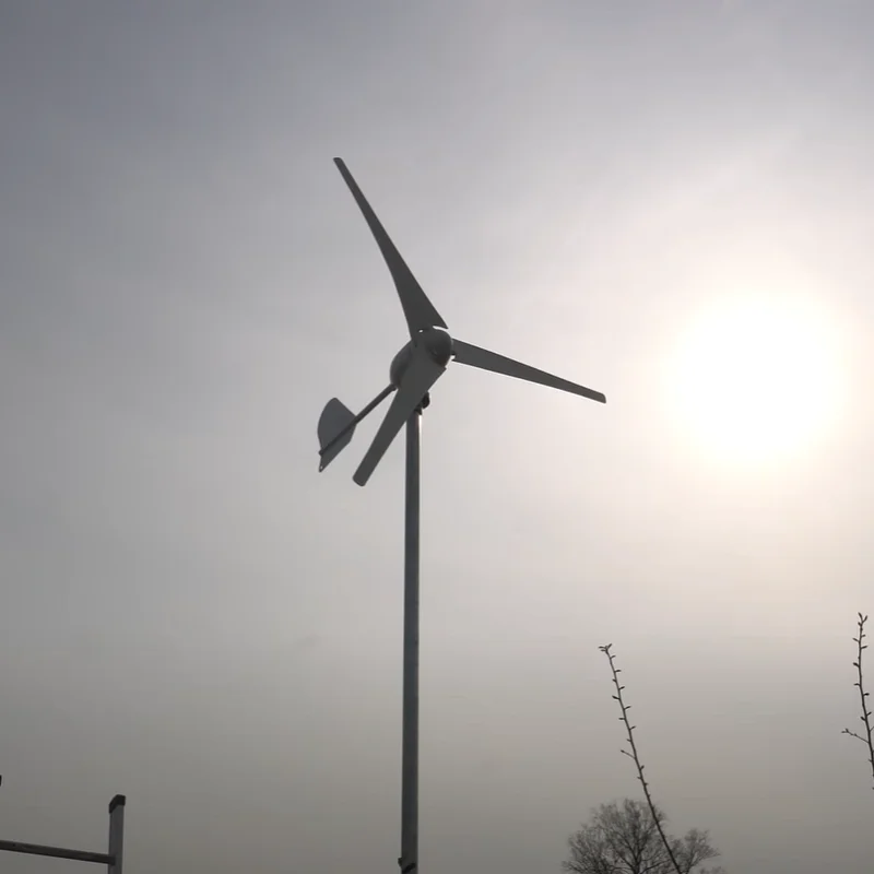 5 Long Blades 750mm Wind Turbine Generator 500w 12V 24V 48V Used for Land and Marine 20 Years Life Span wind turbinen generator |