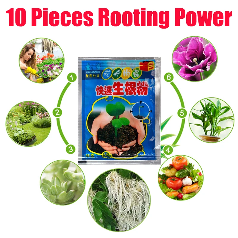 

Fast Rooting Powder Rooting Hormone Powder Improve Flowering Cutting Survival Rate Plants Grow Cut Dip Powder Fertilizer 10 Pcs