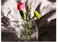 flower small plant vase modern table nordic aesthetic glass vase transparent nordic jarrones decorativos decoration dl60hp