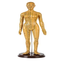 2020 new human acupuncture model meridian acupuncture tcm body bronze man medical teaching diy science