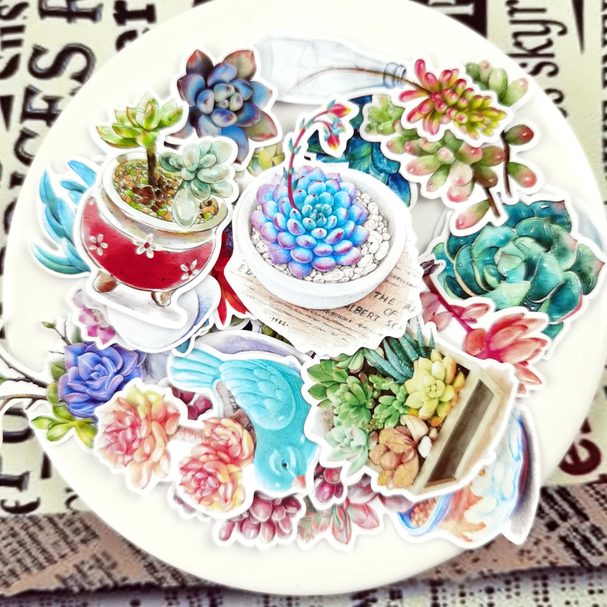 27 шт. акварельным рисунком суккулентные растения Наклейка С КАКТУСОМ дневник