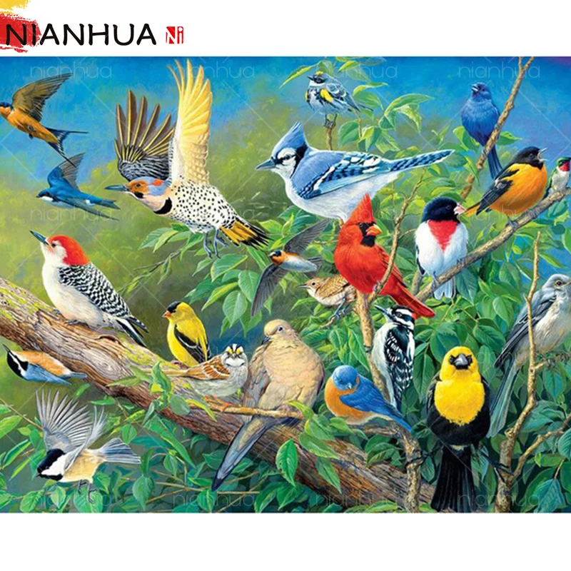 

Алмазная мозаика, языки птиц, цветочный попугай, животные, вышивка, роспись фото 5D, «сделай сам», Круглый квадратный Декор для дома, стразы, н...