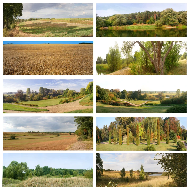 Фон для фотосъемки Nitree Forest с изображением пшеничного поля луга пейзажа реквизит