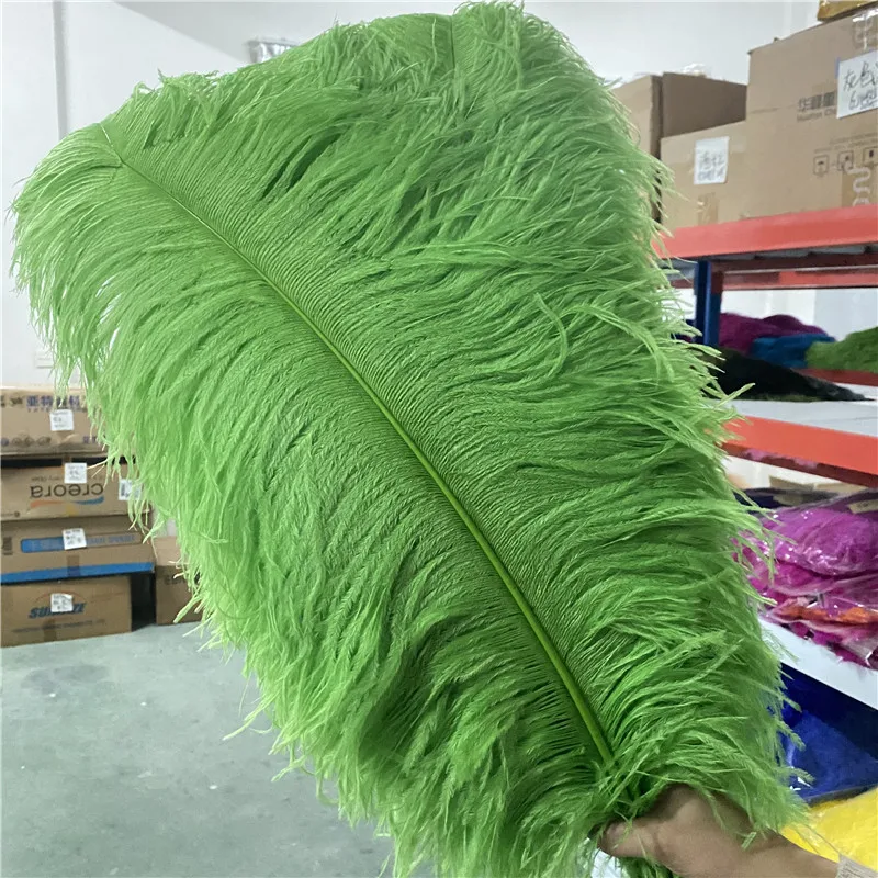 

Sale 20pcs/lot Fluffy Green Ostrich Feathers 26-28inches/65-70cm for Crafts Diy Decoration Supplies Wedding Dancers Feather