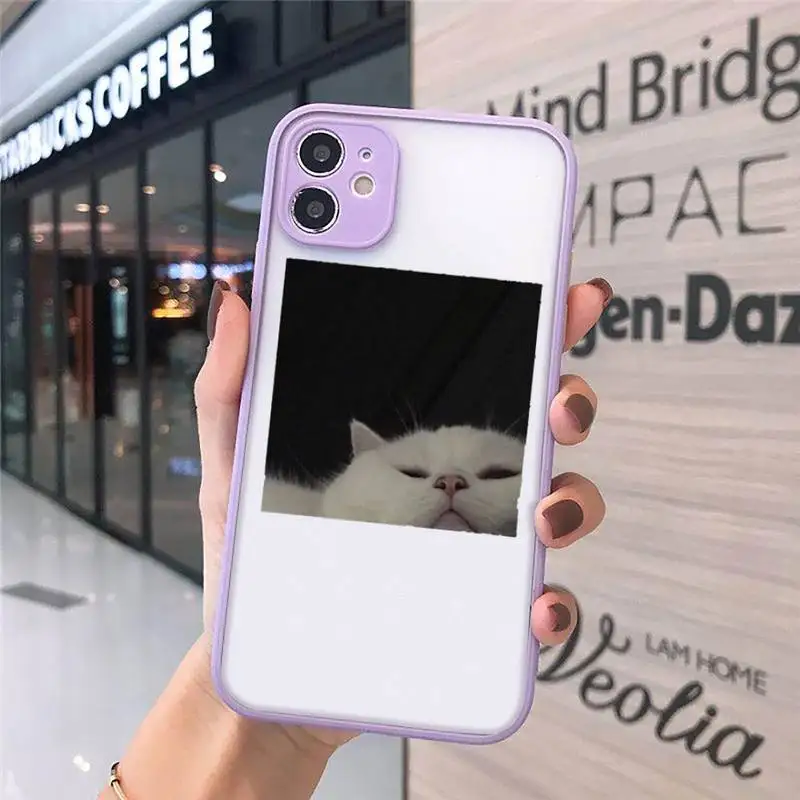 

Cute Cats New Year Gifts Phone Case Matte Transparent for iPhone 7 8 11 12 s mini pro X XS XR MAX Plus cover funda