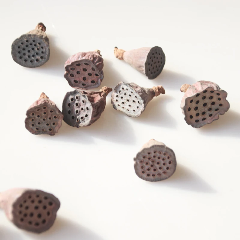 5 шт./пакет миниатюрные натуральные сухие цветы лотоса офисное украшение