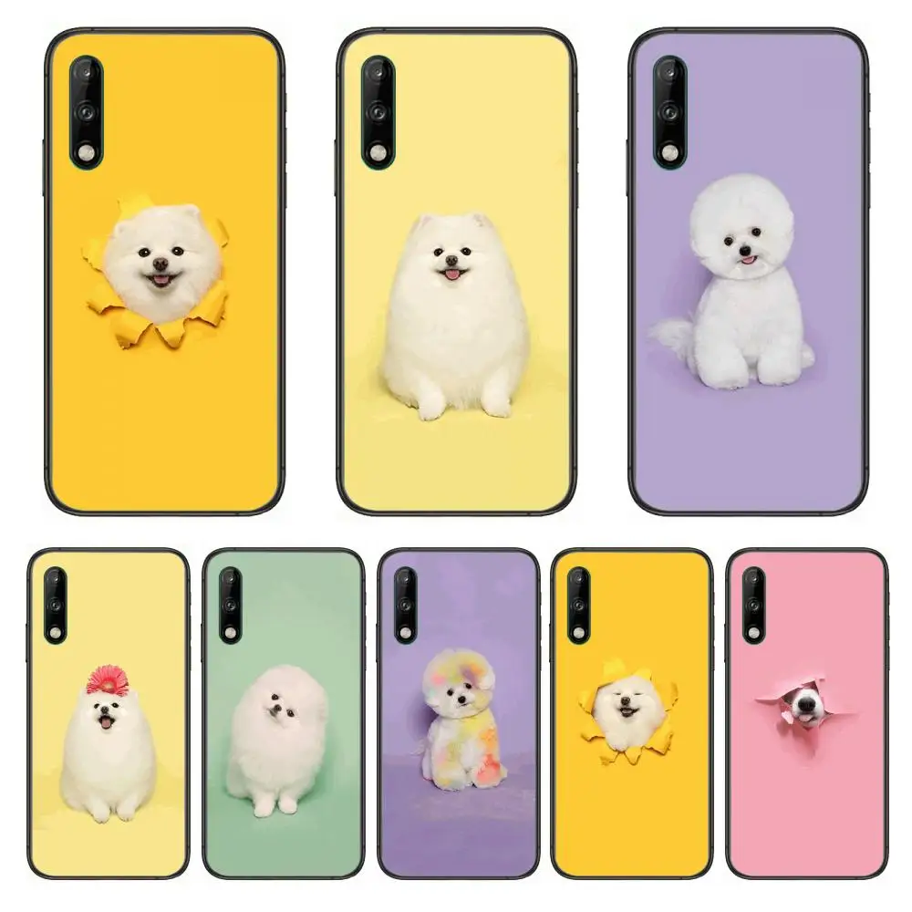 

Hiromi Cute white puppy pet Clear Phone Case For Huawei Y 5 6 7 8 9 A P S Pro 2020 2019 Black Etui Coque Hoesjes Comic Fashion