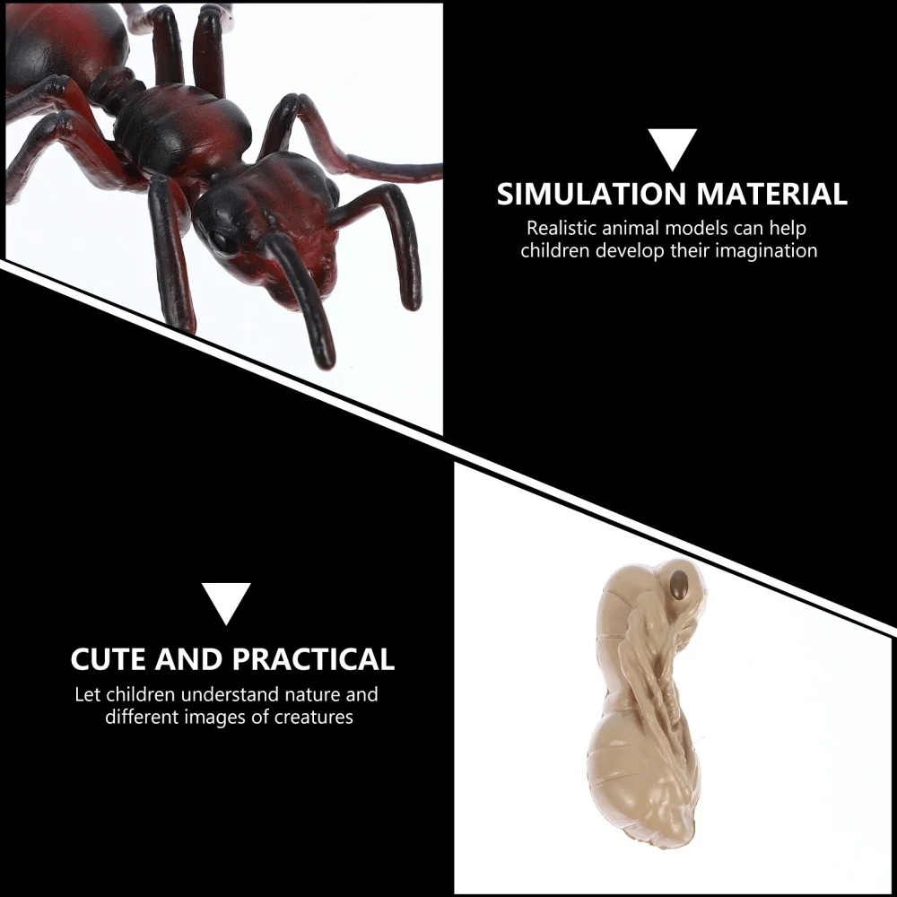 

1 Set/4pcs Simulation Red Ant Life Cycle Model Ant Cognitive Model for Kids