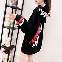 2020 spring new korean net red loose lazy wind womens hoodie long sleeve shirt hong kong style chic coat