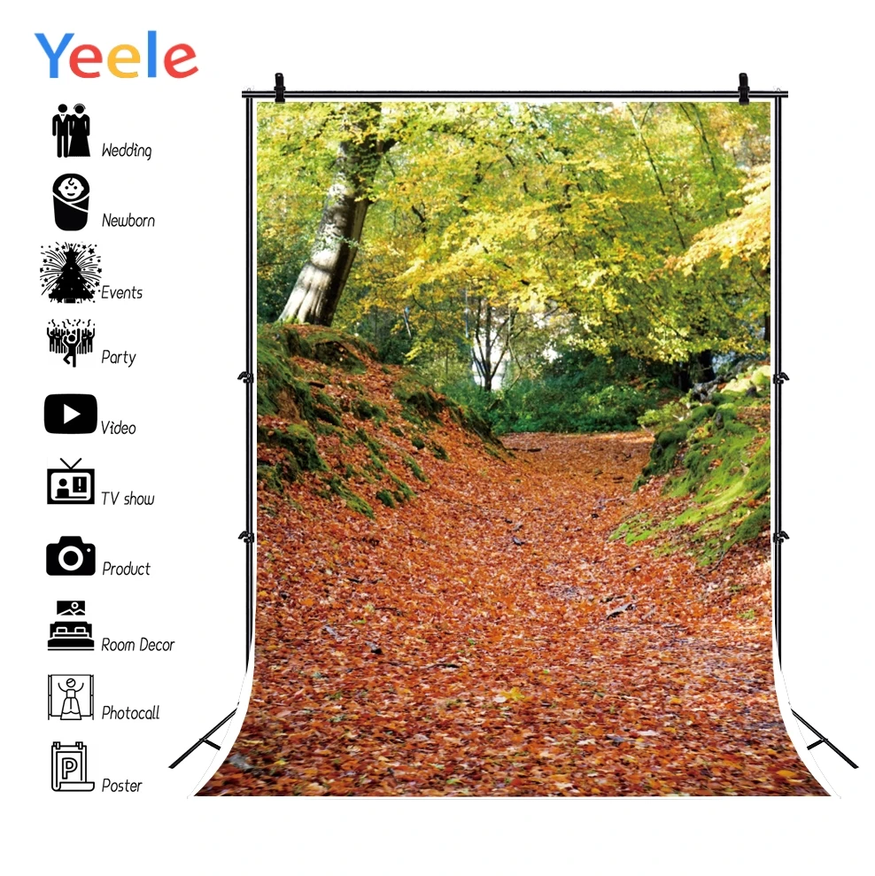 Фоны для свадебной фотографии Yeele осенние листья красивый лес естественный