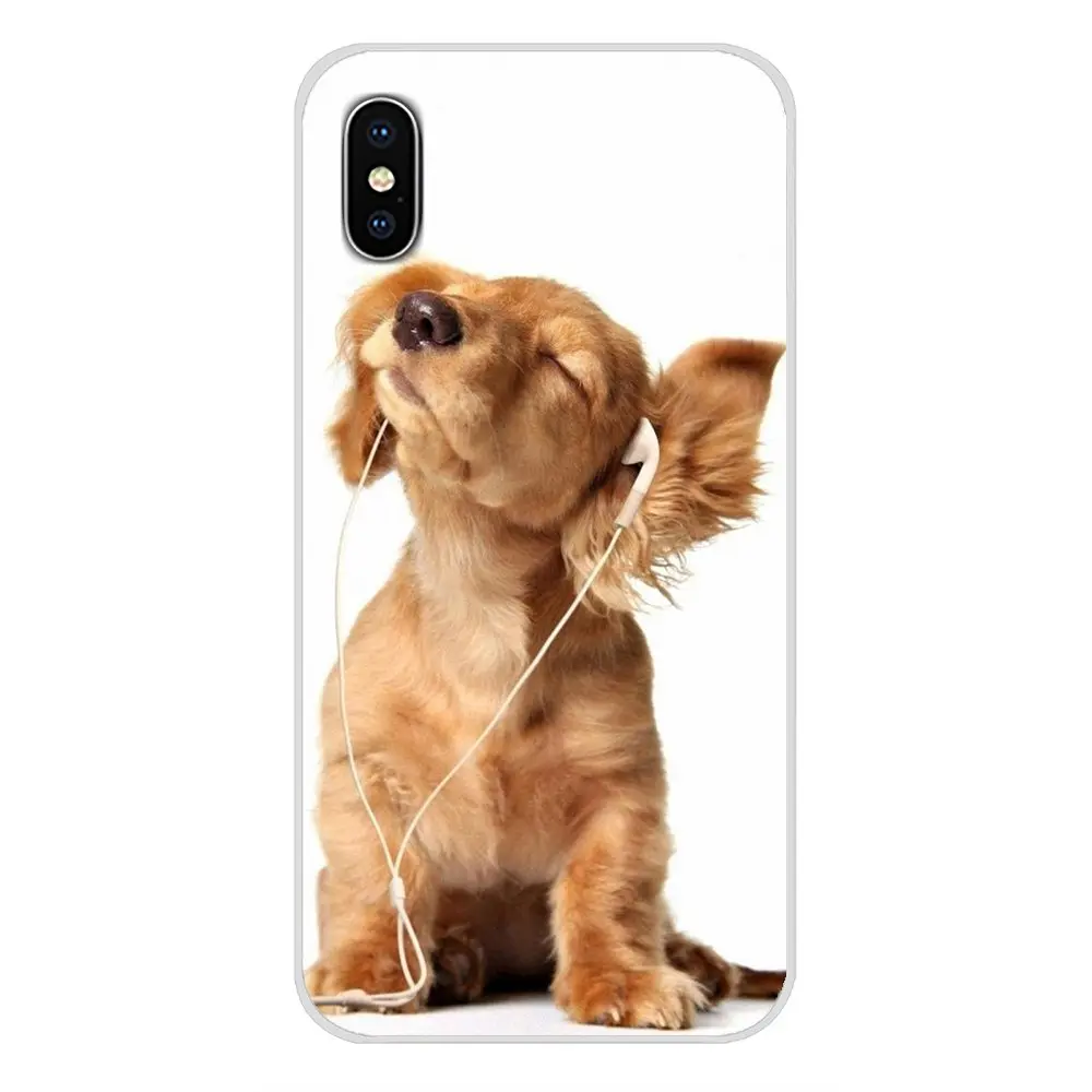 Аксессуары оболочка Чехлы животные милая собака золотой ретривер для Samsung A10 A30 A40