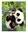 Набор для рисования по номерам на холсте панда, 4050 см