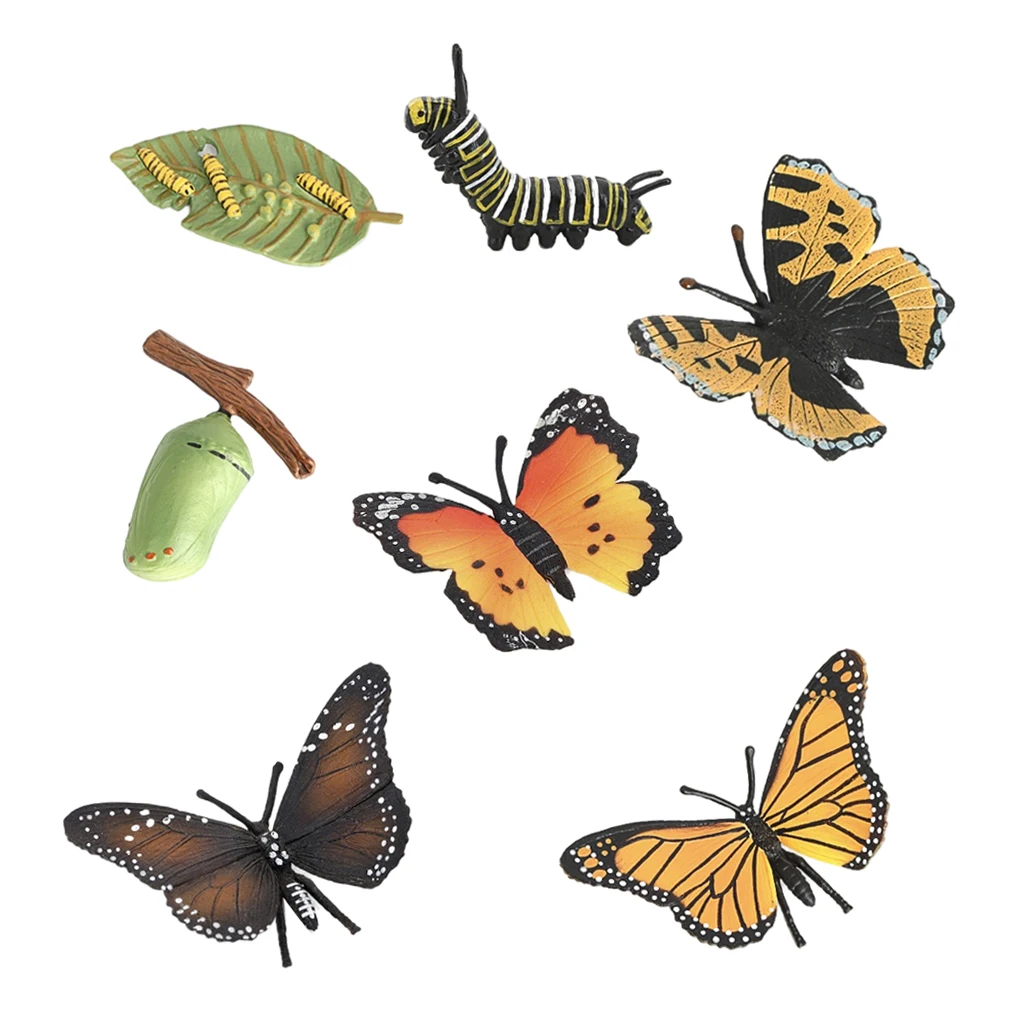 

Nature Butterfly Life Cycle Stages Insect Growth Figure Model Ornaments