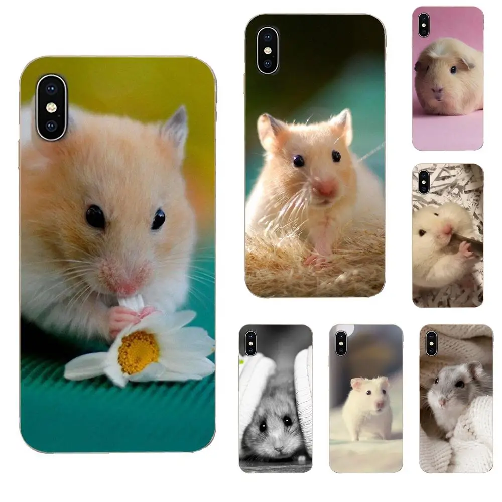 Ультратонкий чехол с рисунком хомяка для Apple iPhone 11 Pro X XS Max XR 4 4S 5 5C 5S SE 6 6S 7 8