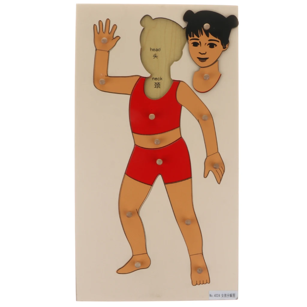 

Preschool Montessori Teaching Materials - Wooden Girl Body Pegged Puzzle Toy