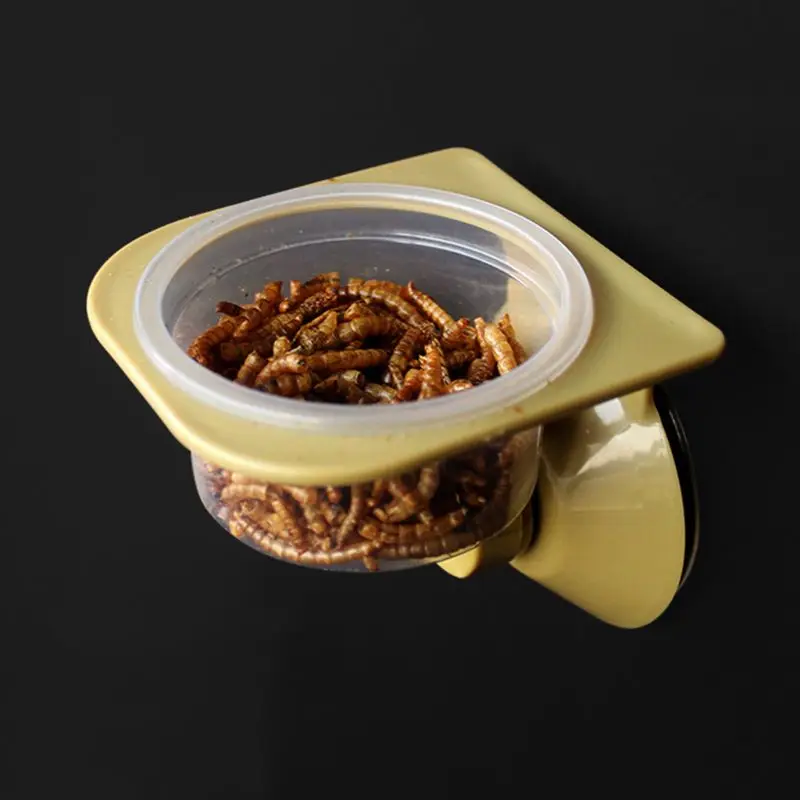 Wall Hanging Feeding Dish Bowl Spider Breeding Box Tank Pot Supplies Suction Cup Reptile Water Food Feeder | Дом и сад