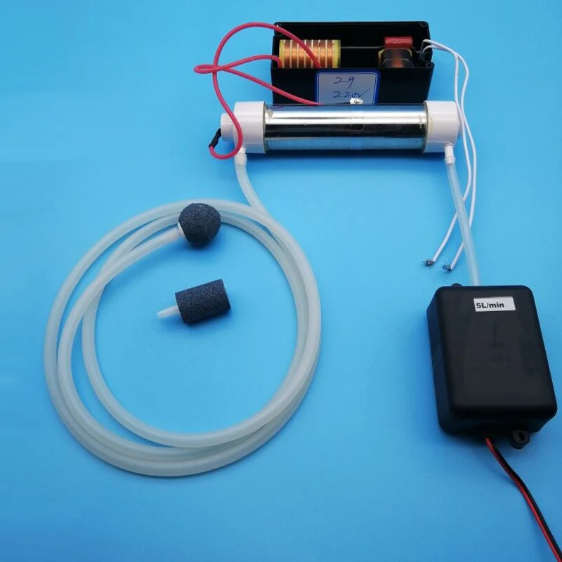 220V with Accessory 220 V/110 V SilicaTube генератор озона 2 Гц/ч для очистки воздуха и воды 1 комплект начинается Аксессуары Дополнительно - Цвет: 220V with Accessory