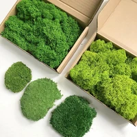 20g high quality dry moss artificial green plant immortal fake flower moss grass home room decorative wall diy mini accessories