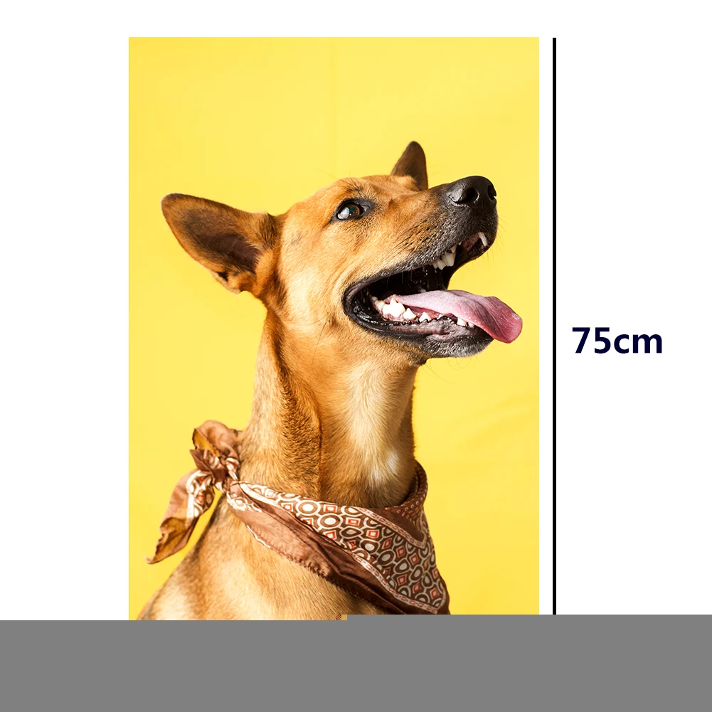 

1000pcs DIY Scarf Dog Puzzle Educational Learning Assembling Jigsaw Toys