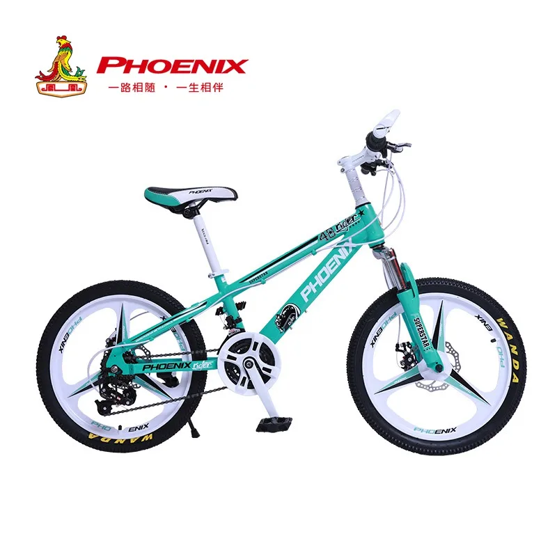 Verkauf Phoenix Fahrrad 20 / 22 Zoll Kinder Fahrrad Für Jungen Und Mädchen