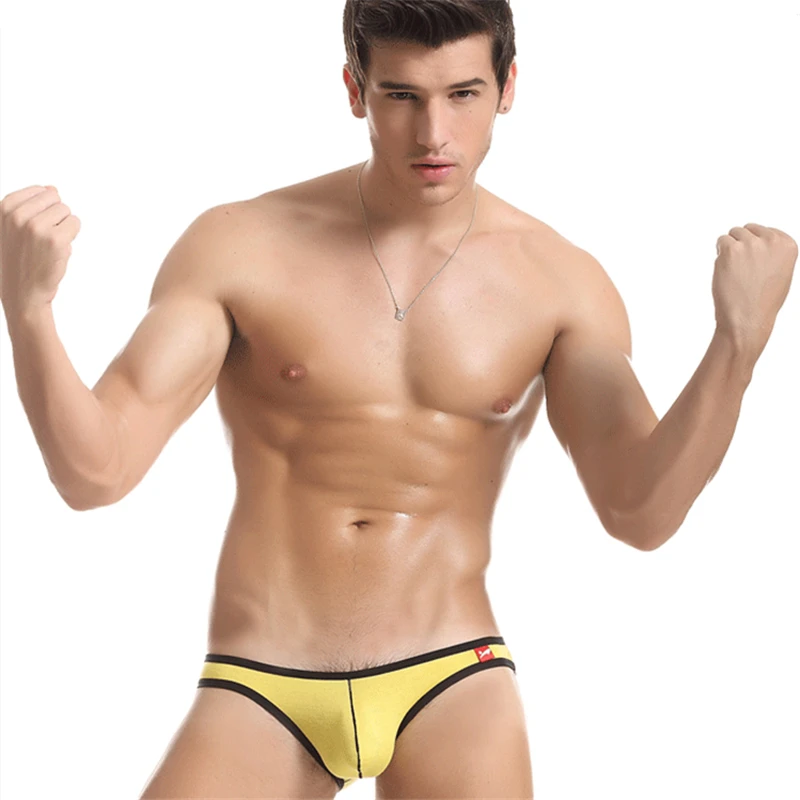 

Men's Soft Briefs Underpants Knickers Shorts Sexy Underwears Gay Male U Pouch Briefs Comfortable men's Briefs Shorts Cueca