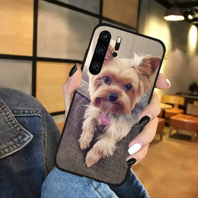 

Mini Yorkshire Terrier Dog Phone Case Funda For Huawei P9 P10 P20 P30 Lite 2016 2017 2019 plus pro P smart