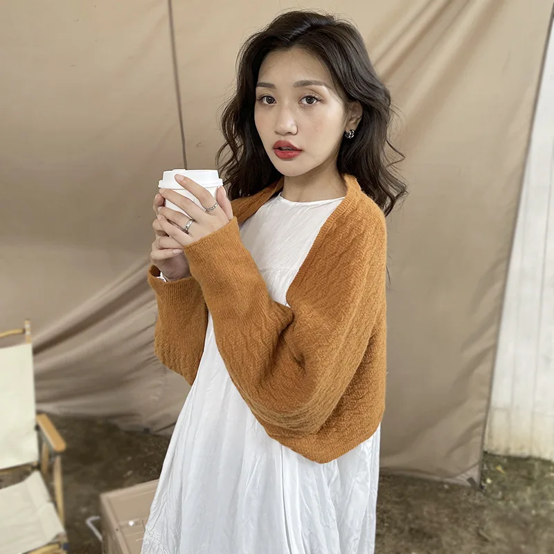 

Summer Fake Collars for Women Korean Knitted Shawl Ladies Autumn Neck Guard Sleeve False Collars Shirt Detachable Collar
