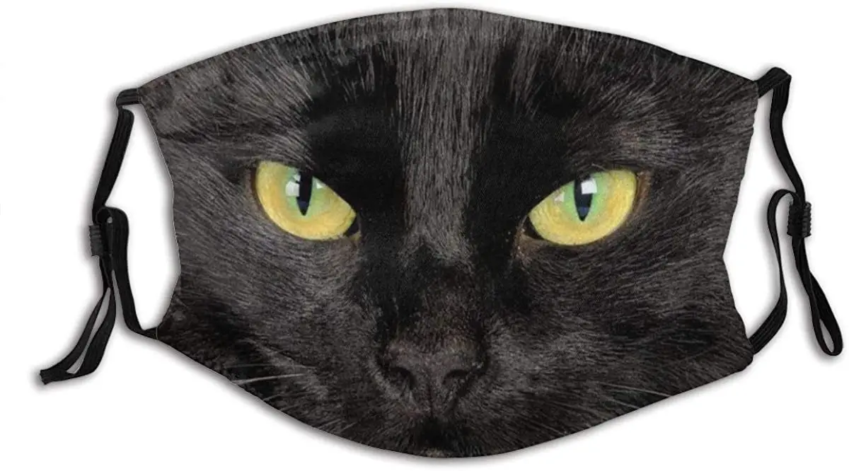 

Personalized Reusable Mouth and Face Protection with 2 Filters and Adjustable Ear Hooks.