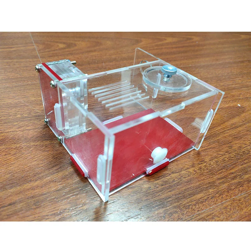 Ant Workshop Double Test Tube Nest Desktop Decoration Mini Pet Alternative Birthday Gift 15mm Caliber Acrylic | Дом и сад