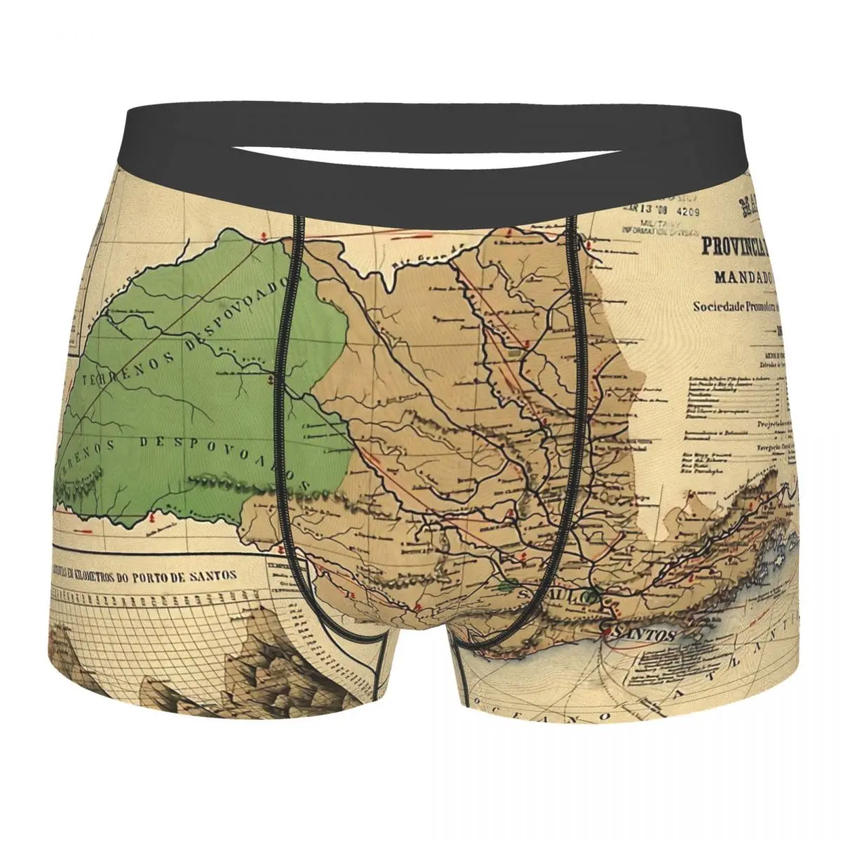 

Sword Art Online Map Of Sao Paulo 1886 Underpants Breathbale Panties Man Underwear Sexy Shorts Boxer Briefs