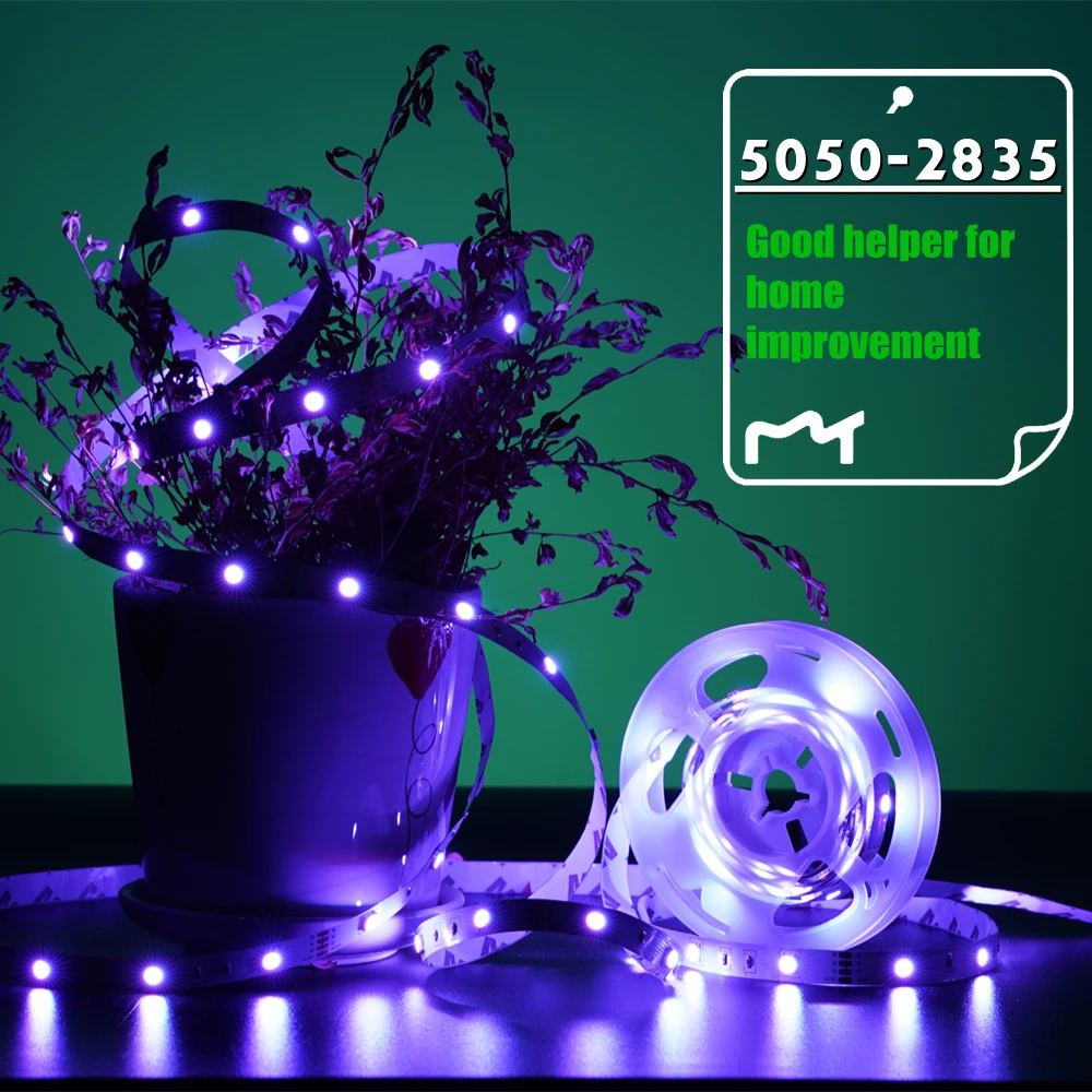 

LED Lights Strip RGB 5050 2835 SMD Waterproof Lamp Flexible Tape Diode luces Neon 5M 10M DC12V For Festival Party Room Decor