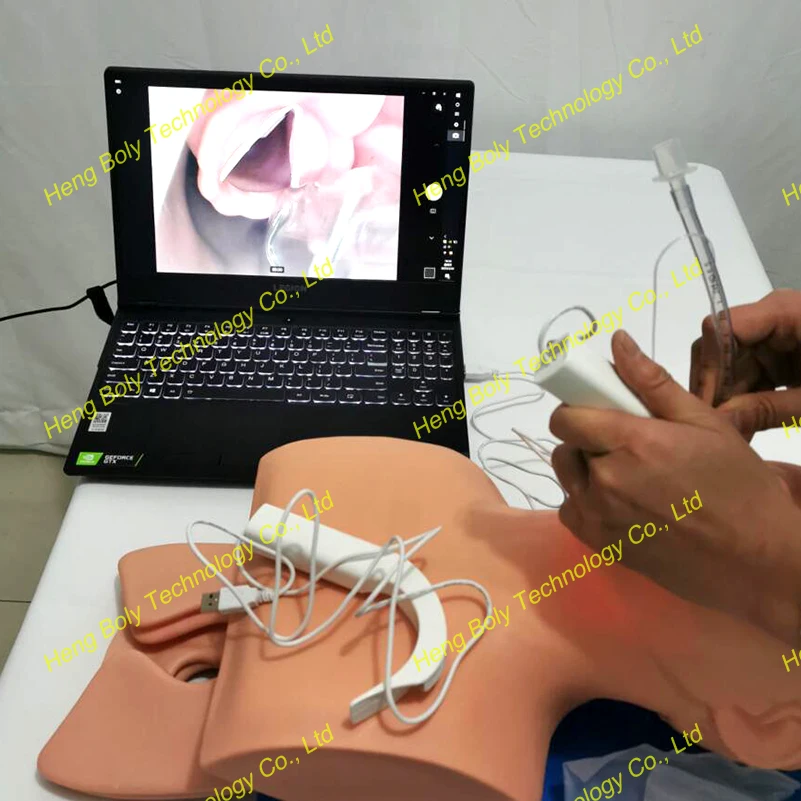 Laringoscopio de v&iacute;deo digital, port&aacute;til, desechable, USB, Visor de deslizamiento-4