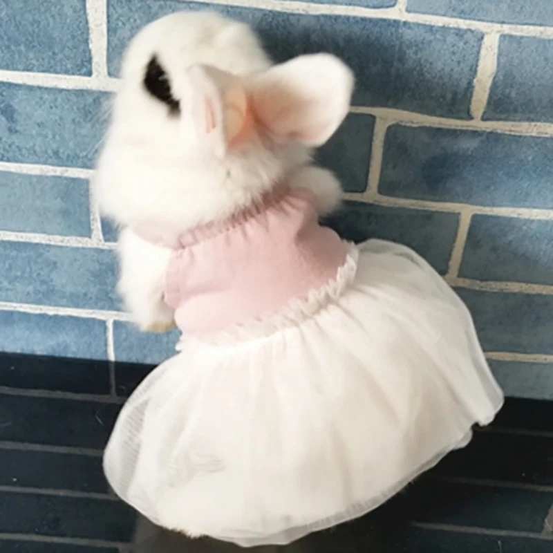 

2021 new dog clothes for small dogs Pet Clothing cats cat dress Summer fancy Puppy beer spring outfit Hanbok cotton gauze rabbit