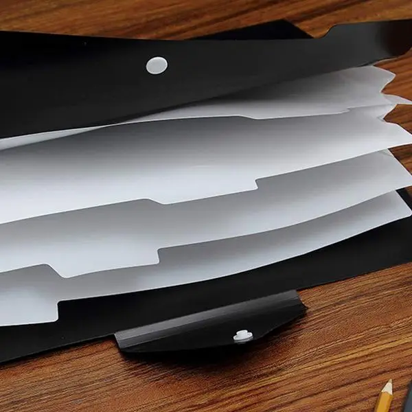 Папка-гармошка 5 карманных гармошек органайзер для файлов формата А4 размер букв